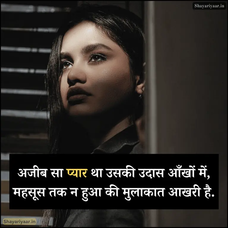 Best Shero Shayari In Hindi