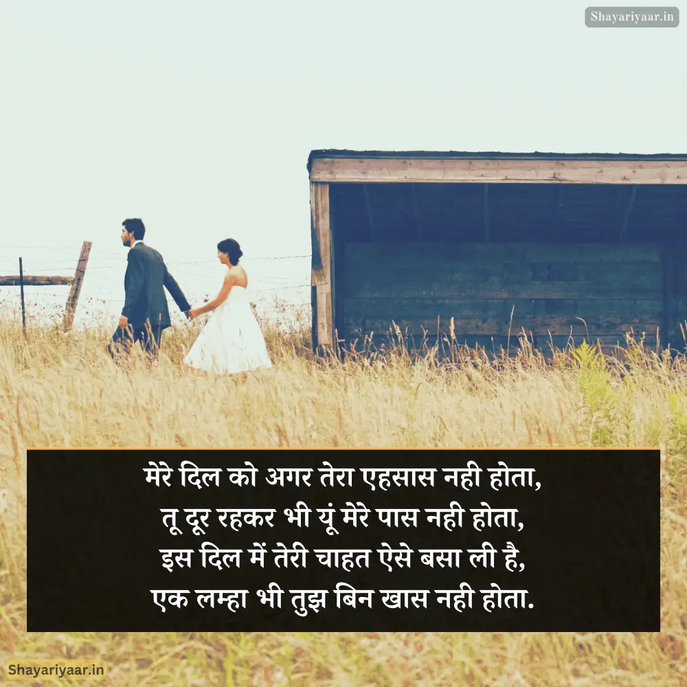 True Love Shayari Status