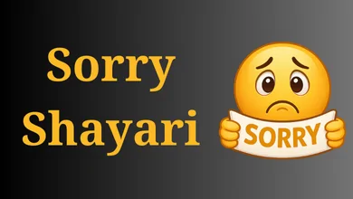 Sorry Shayari